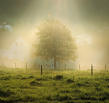 在线手机号轰炸机